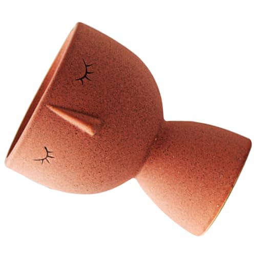 Ciieeo Maceta de Cerámica Pequeña para Flores y Cactus, Diseño Abstracto Cara Humana, Color Rosa, Adecuado para Jardinería Interior, Escritorio y Decoración del Hogar