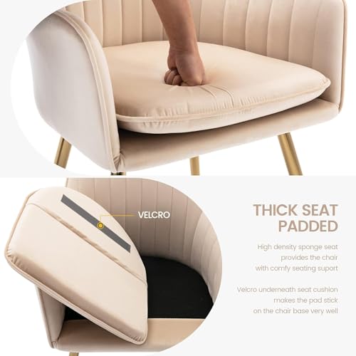 Image of Velvet Dining Chair Set of 2 - Modern Mid-Back Accent Chair with Gold Plating Legs - Upholstered Living Room Chair (Velvet Beige, Set of 2)