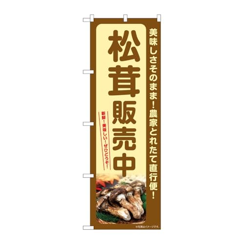 y3Zbgẑڂ艮H[ ̂ڂ 131706 ̔ W600×H1800mm OO ̑ ɐ 󒍐Yi