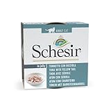 Schesir