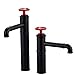 FUKUZL Matte Black Industrial Style Brass Basin Mixer, Single Handle Deck-Mounted Tap with Red Accent(Black red Low)