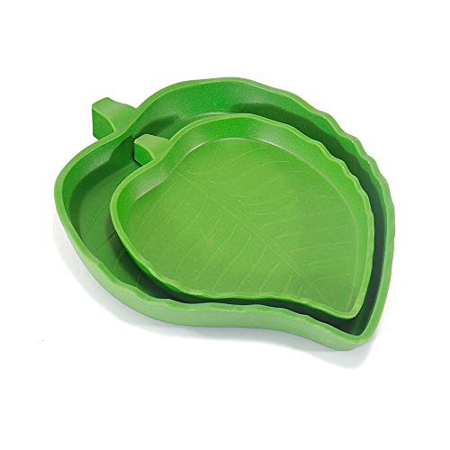 EONMIR 2 Pack Leaf Food Water Bowls for Baby Tortoise or Small Reptiles, 2 Sizes