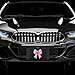 Cute Pink Car Accessories for Teens & Women: Custom Front License Plate, Pink & Black, Girly Bow Decor, Coquette Room & Wall Decor Coquette Aesthetic Coquette Car Accessories Preppy Girly Car Decor