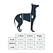 PetSafe CareLift Support Harness - Lifting Aid for Senior or Injured Dogs - Breathable Mesh - Machine Washable - Post-Surgery Dog Support - Large