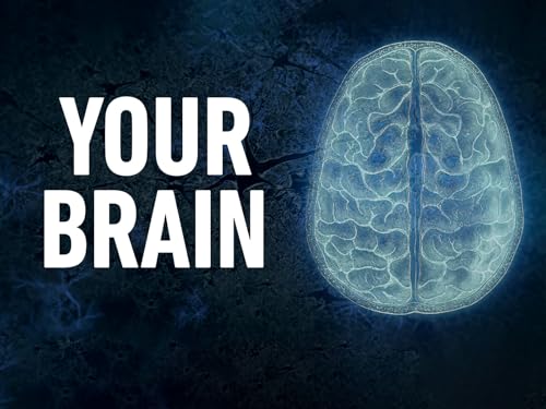 Your Brain, Season 1