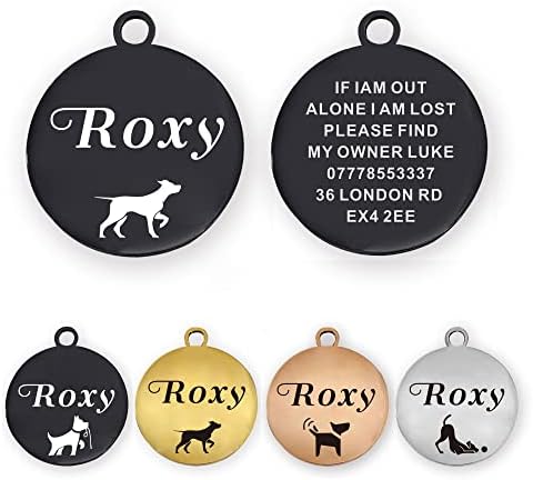 Dog Tag Personalised ID Tags for Dogs Cats Pets Tag Engraved Stainless Steel Funny Name Tag for Dog Cat Puppy Pet Kitty Custom Collar 4 Colours 2 Sizes S/L (Silver Round)