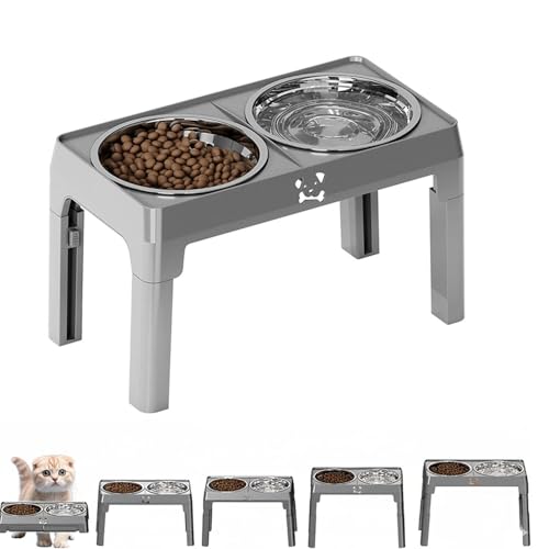 Lifetips XReBbVtH[h XR Scottish Fold Lp H t[h{EX^h {E  ܂肽 pT|[g Hׂ₷ Hh~ 􂢂₷ ~  i5iK O[j