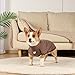 Hjyokuso Hundepullover, Fleece Hundemantel, Warmer und Leichter Pulli für Kleine Mittelgroße Große Hunde, Wintermantel, Outdoor Hundejacke - Braun
