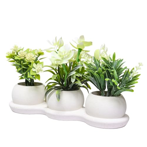 JUNENTER lHAA ͑Ή @̉ lHA ^lHA lHtFCNA ItBX z[ Ǒ (4/bh)