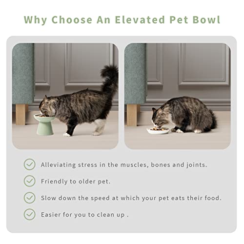 image for CEEFU 2 Elevated Ceramic Cat Bowls Extra Wide for Food & Water – Whi