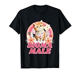 gattino maschio nome Sigma Male Cat Kitten è un divertente design sarcastico che viene utilizzato come un design divertente per gli amici