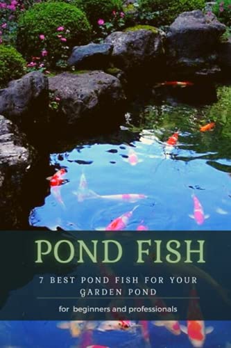 POND FISH: 7 BEST POND FISH FOR YOUR GARDEN POND