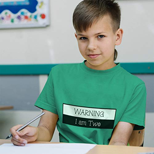 Toddler T-Shirt Novelty Warning I Am 2 Year Old Second Birthday Funny Cotton Age-Related Boy & Girl Clothes Rude Baby Funny Tee Hot Pink Design Only 3T4