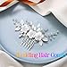 Catery Flower Bridal Hair Comb Wedding Hair Clip Rhinestone Hair Accessories for Brides and Women (Silver)
