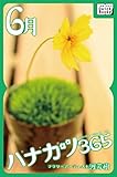 ハナカツ365 [6月] (impress QuickBooks)