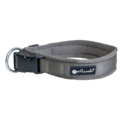 Petlando Mesh Hundehalsband – leicht, atmungsaktiv, weich mit Mesh gepolstert, stufenlos verstellbar, robust & strapazierfähig mit O-Ring – Halsband Hund M 45-50cm, Anthrazit