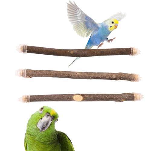 Percha para Pájaros de Madera Natural de Olivo - Juguete Accesorio para Colocar en Jaulas - Percha Madera Natural para Pájaros, Palo Soporte para Jaulas Canarios Limar y Masticar Enganches de Silicona