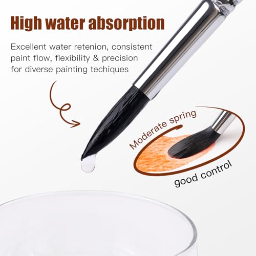 Image of Watercolor Brush Set, Fuumuui 10pcs Professional Synthetic Squirrel Paint Brushes for Artists - Flat, Round Pointed, Dagger, Cats Tongue Oval Wash
