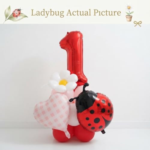 Ladybug Birthday Balloon Decoration Kit with Number 1 Balloon, Ladybug Foil Balloon, Pink Gingham Heart, Daisy Balloon for Little Love Bug First Birthday, Baby Shower,Picnic Party Decor by PartyXpress - Used condition - Image 3