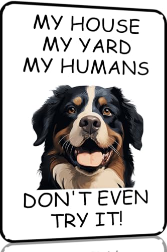 TopPacific Plaque en métal vintage « Bernese-Mountain Dog » « My House My Yard My Humans » en aluminium pour décoration murale de maison, café, bar, 30,5 x 20,3 cm (1773)