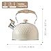 Choxila Stovetop Tea Kettle - 2.1 Quart Whistling Tea Pot for Stove Top, Premium Stainless Steel Teapot for All Stovetops | Elegant Design & Heat-Resistant Handle