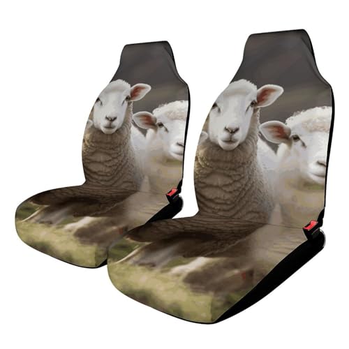 Housses de siège de voiture confortables pour trajets d'hiver protection de camion en mouton