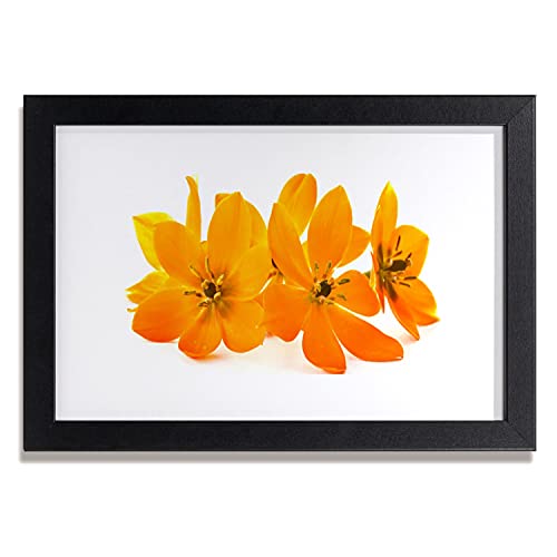 Affiche avec cadre en MDF fleurs de plantes orange deco murale durable