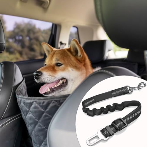 2 Stück Auto-Sicherheitsgurt, Sicherheitsgurt mit Stoßdämpfung und Karabinerhaken für alle Arten von Autos für alle Hunde und Katzen