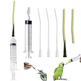 HAOBIN Uccelli Che nutrono siringa Tubo di Alimentazione per Uccelli Giovani siringa da 10 ml Alimentatore Pappagalli Accessori per piccioni siringa con Tubi e cucchiai per Bambino Pet Uccelli (B)