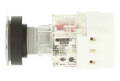 Schlegel Schlüsselschalter Rastend - 2 Stellungen, Tastkontaktgeber, Made In Germany