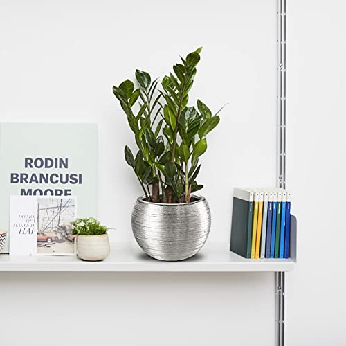 Oairse 4.5" 5.5" Silver Planters For Indoor Plants Set Of 2 Silver Plant Pots Small Flowerpot Ceramic Houseplant Planters Succulents Pots For Orchids Snake Plants #TOP3