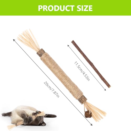 OSDUE Katzenminze Sticks, 21 Stück Matatabi Kausticks mit Ball Katzenminze Spielzeug Katzen Kauhölzer Sticks für Katzen Zahnpflege & Gegen Mundgeruch Natürlich Sicher Katzensticks Kausticks Set