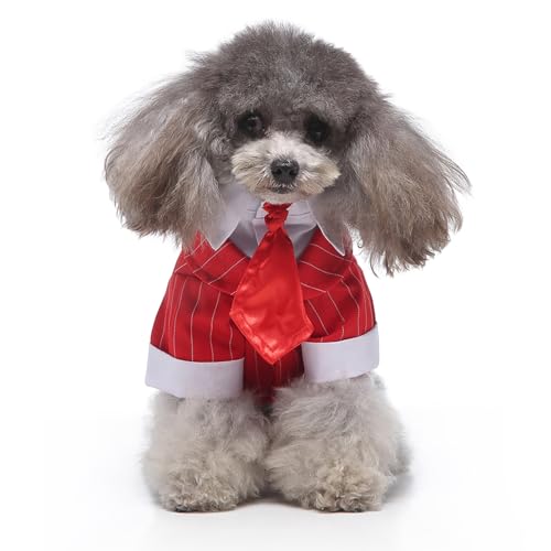 Vêtement formel pour chiot mariage - Smoking rouge GabeFish taille S - 3