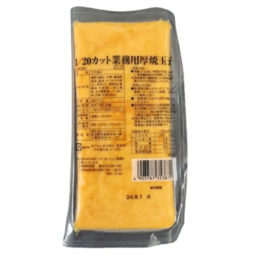 CGt[Y Ɩp ċʎq 1/20Jbg 500 ⓀHi