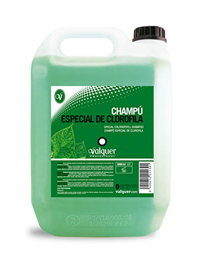 V�lquer Champ� Especial de Clorofila para peluquer�a. Champ� para profesional-5000ML