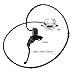 Hydraulic Rear Disc Brake Caliper Pads for GY6 150cc 200cc 250cc Taotao Coolster ATV Go Kart Quad Dirt Bike Buggy UTV