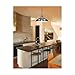 Nuvo Lighting SF76/663 Transitional One Light Hanging Lantern in Bronze/Dark finish