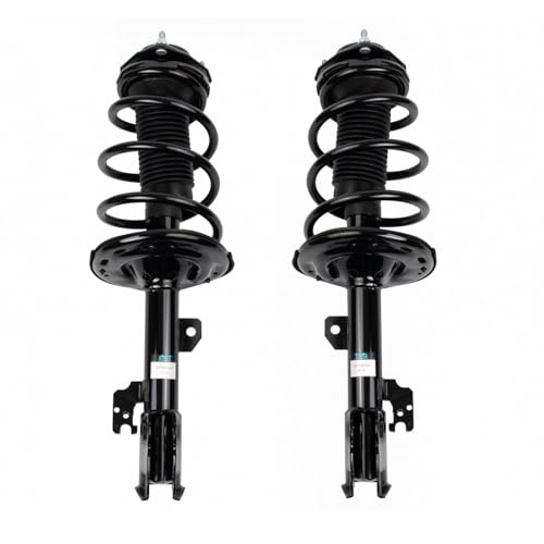 Image of TRQ Front Driver and Passenger Side Strut and Spring Assembly Set Loaded