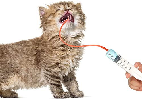 TRKRVAK Neugeborenes Welpen-Kätzchen-Set für Kleintiere, steril, Schleim-Extraktor, Saugkatheter, Tier-Kinder, Welpen, Kätzchen, Futter-Set, 8 FR