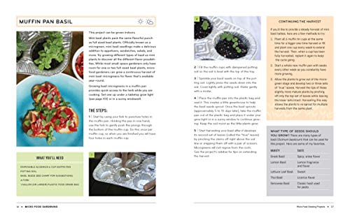Micro Food Gardening: Project Plans and Plants for Growing Fruits and Veggies in Tiny Spaces - Image 4