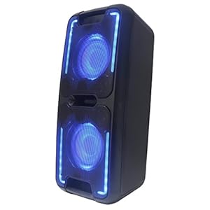 Reflexion PS08BT DJ Karaoke PA-systeem, mobiel met batterij en lichteffecten (Bluetooth, USB, AUX, microfoon, 480 Watt), zwart