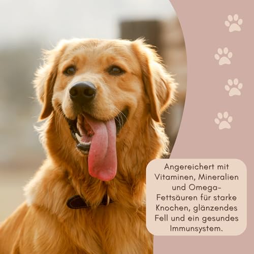 Dolina noteci Rafi & PAKO Mixbox | 24x800g Hochwertige Nassfutter-Dosen für Hunde | Rind, Ente, Wild, Lamm & Kaninchen | 19,2 kg