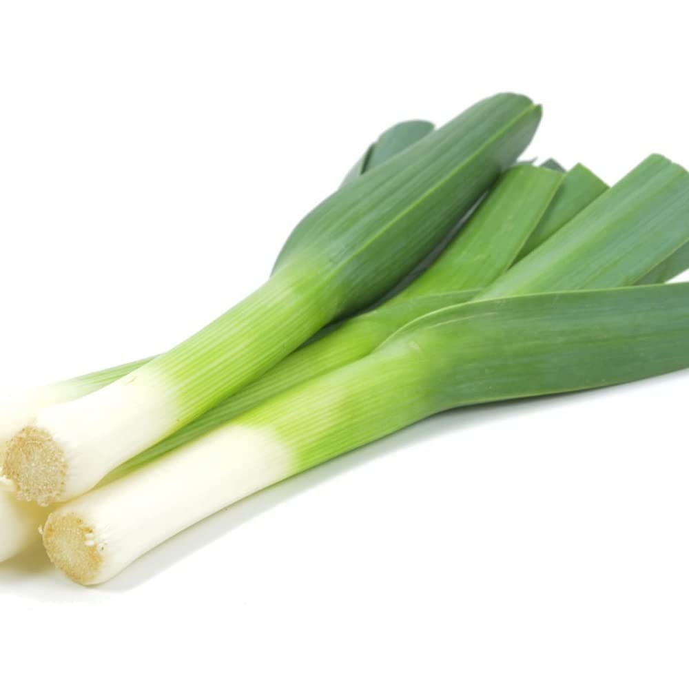 Leek Plants, Leek 'Tornado', 12 x Plug Plant Pack, Vegetable Plants, Leeks, Late Variety, High Yields, Garden Ready and Ready to Plant, Premium Quality Vegetables — image 1
