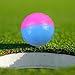 kowaku Golf Ball Golf Practice Ball Golfing Ball Indoor Outdoor Indoor Outdoor 2 Color Putting Game Accessories Diameter 6cm/2.36in, Blue Pink