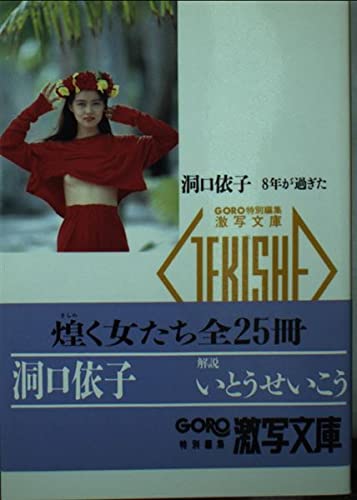 洞口依子・8年が過ぎた (激写文庫 18)の詳細を見る