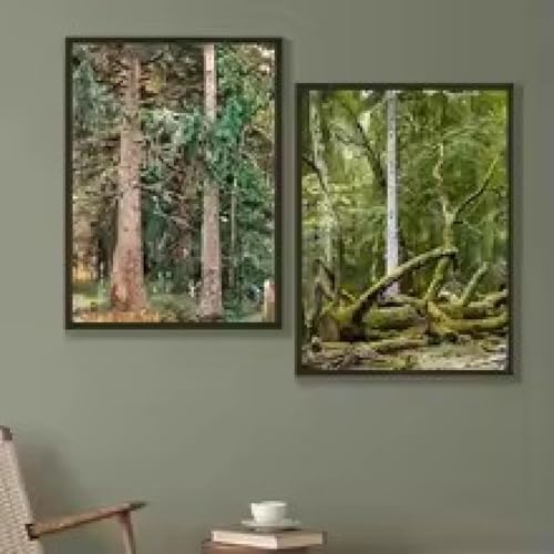 Décoration d'intérieur salon avec cette affiche paysage sur toile HD 70x90cm sans cadre