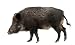 Solar-Schreck für Wildtiere mit 3 Geräuschen, Wildschweine, Füchse, Wölfe, für Durchgangsbereiche von Tieren, Bewegungssensor