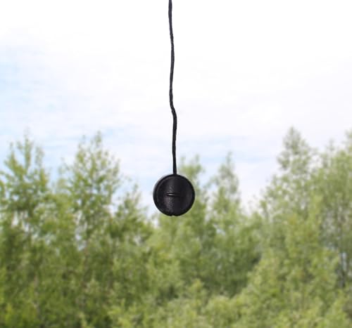 Fliegengitter Insektenschutzrollo Aluminium für Fenster - Anthrazitgrau, B100 x H160cm - Fiberglas Fliegengitternetz - Fliegengitterrollo Insektenschutz