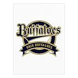 ステッカー オリックス・バファローズ シール 防水 おしゃれ 人気 周辺 ノートパソコン パソコン スノボ スケートボード 荷物 スーツケース ギター 水筒 スマホケース スケボー カー 自転車 バイク ヘルメットなど用 萌えグッズ