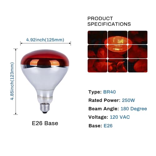 Wesome Lighting 250 Watts Heat Lamp Bulbs, R40 Brooder Heat Lamp Bulbs For Chickens, Infrared Reflector Heat Bulbs For Brooder Heater, Incandescent Heating Bulb For Chicks, Pet, Light Therapy, Bathroom thumb #2